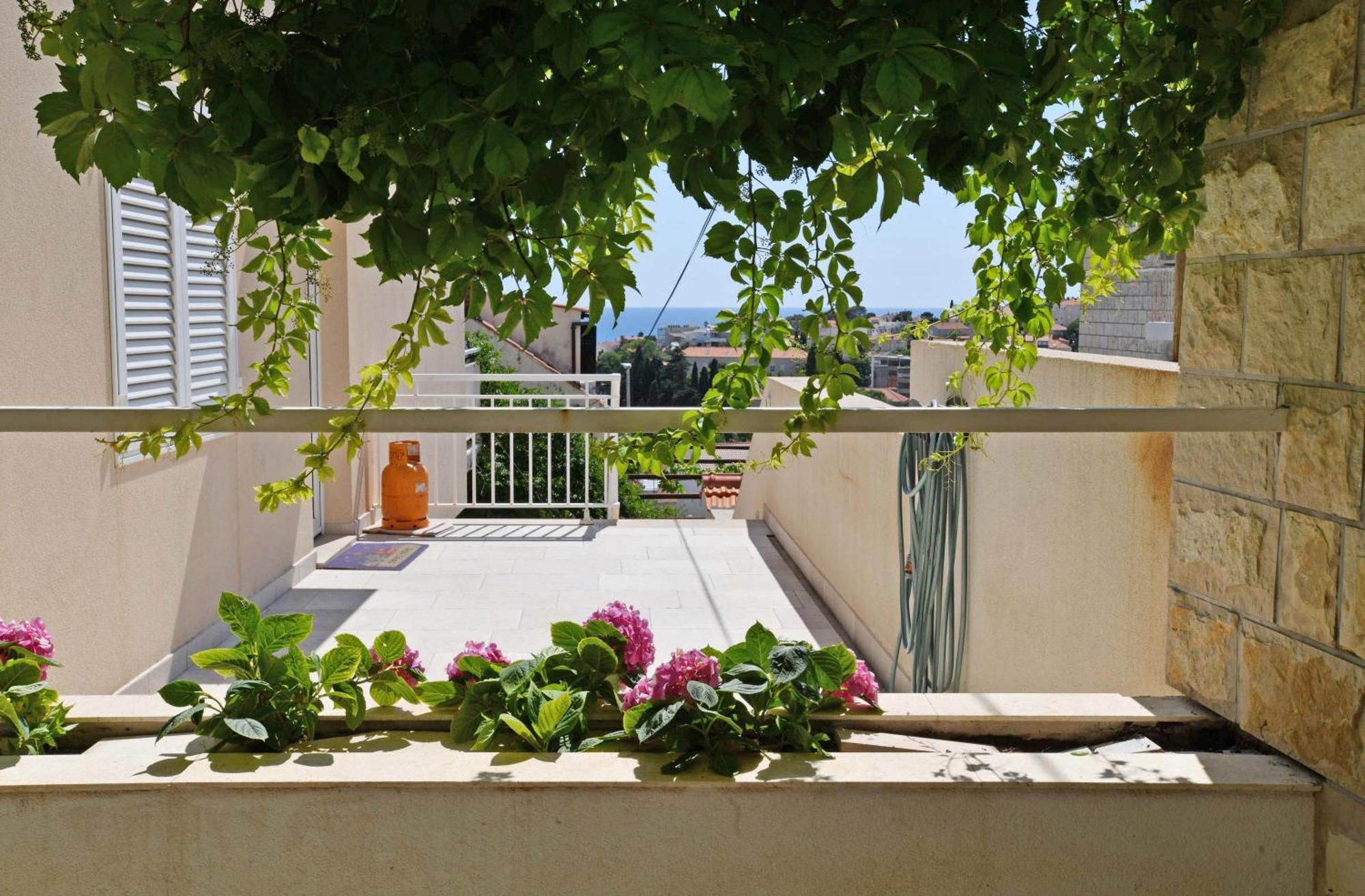 Appartement Ron *
